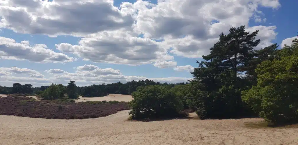 Mooie landschapsfoto van de Soester Duinen